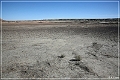 bisti2006_01