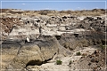 bisti2009_17