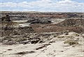 bisti2010_24