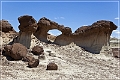 bisti2010_27