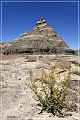 bisti2010_28