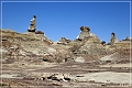 bisti2010_29