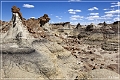 bisti2010_30