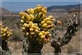 rio_puerco_valley_56