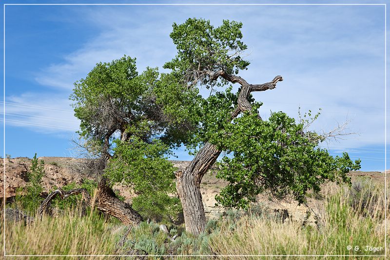 cottonwood_wash_road_03.jpg