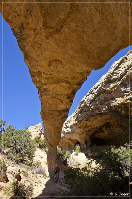 moonshine_arch_18.jpg