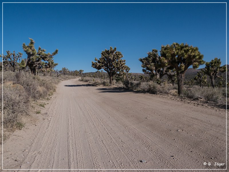 burns_canyon_rd_11.jpg