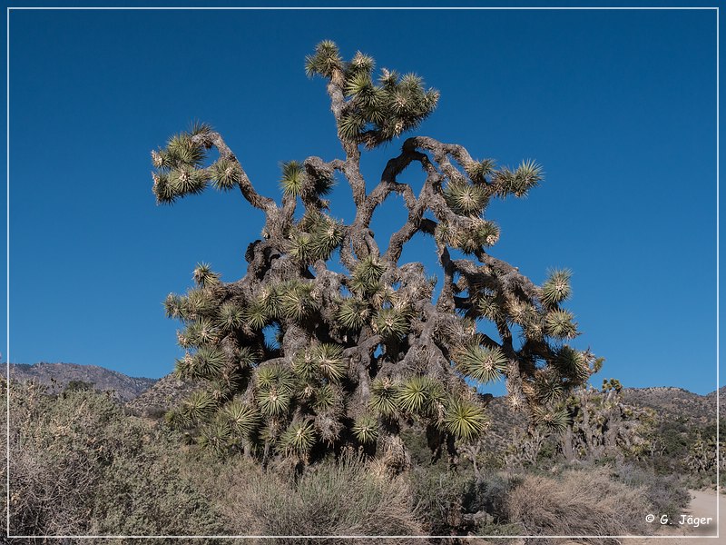 burns_canyon_rd_12.jpg