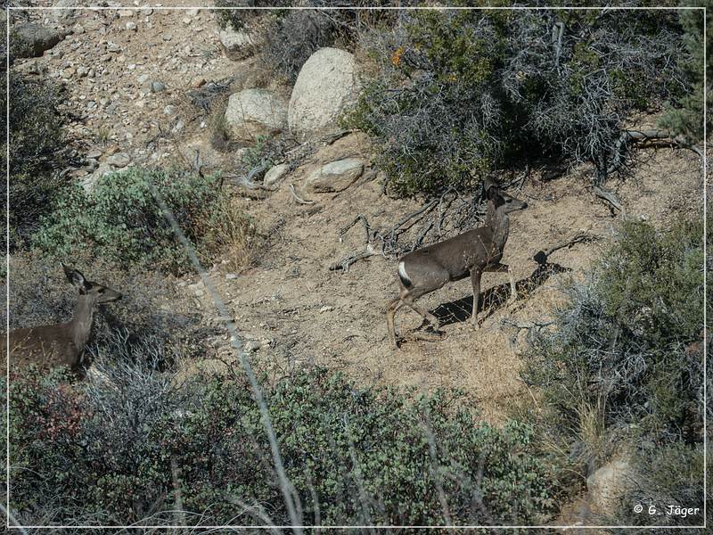 burns_canyon_rd_16.jpg