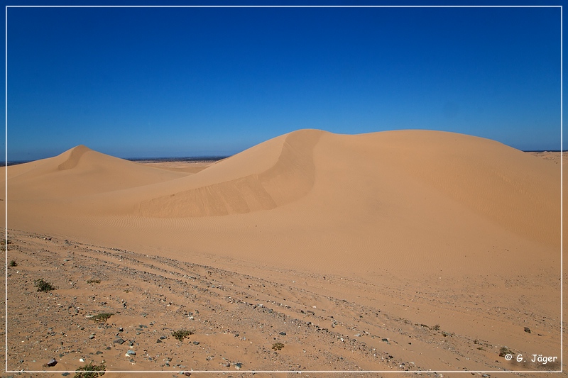 imperial_sanddunes_2015_32.jpg