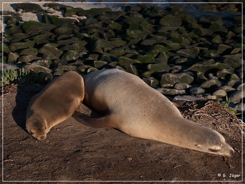 la_jolla_cove_03.jpg