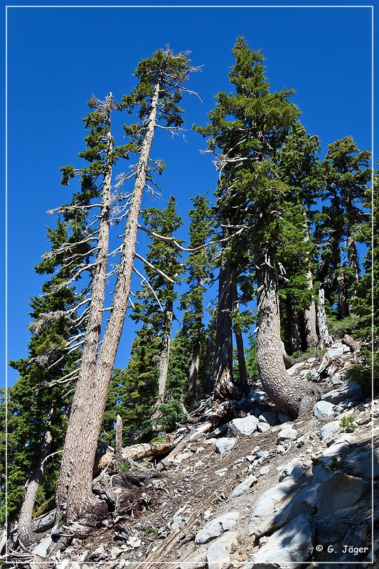 lassen_volcanic_np_10.jpg