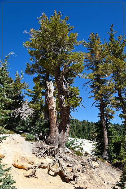 lassen_volcanic_np_16.jpg