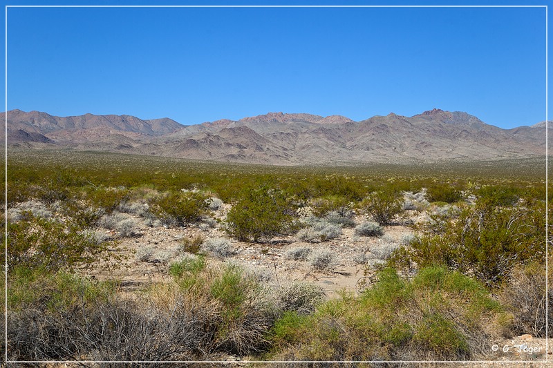 mojave_national_preserve_01.jpg