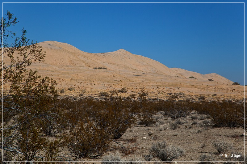 mojave_national_preserve_17.jpg