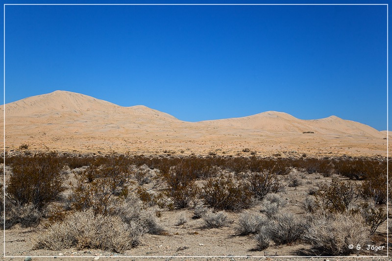 mojave_national_preserve_18.jpg