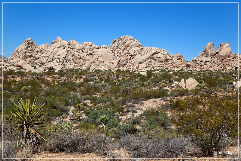 mojave_national_preserve_20.jpg