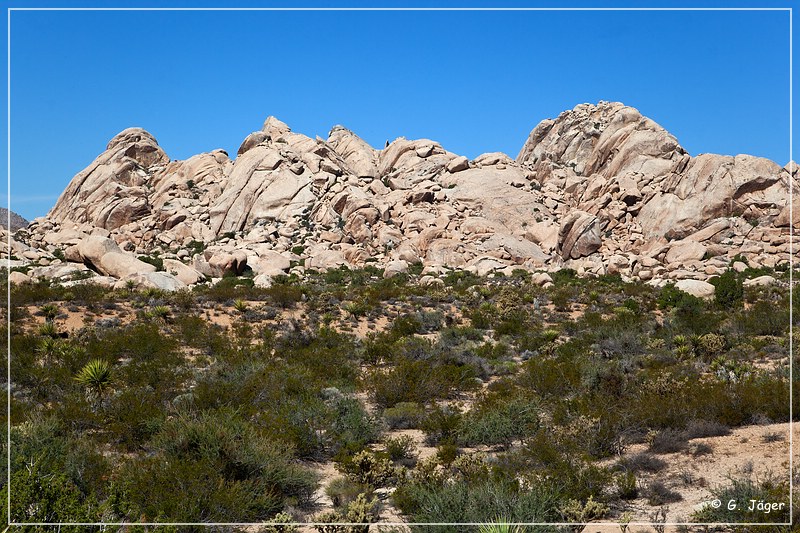 mojave_national_preserve_21.jpg