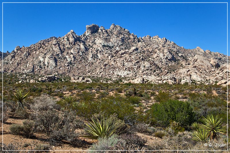 mojave_national_preserve_22.jpg