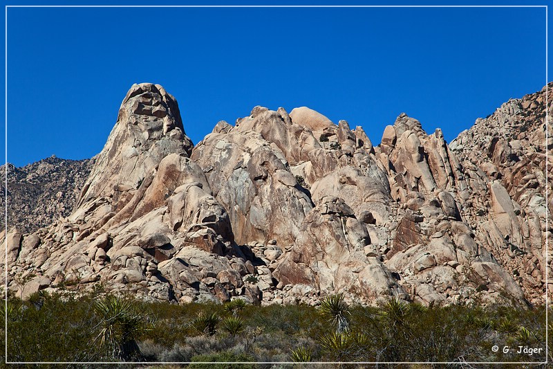 mojave_national_preserve_24.jpg