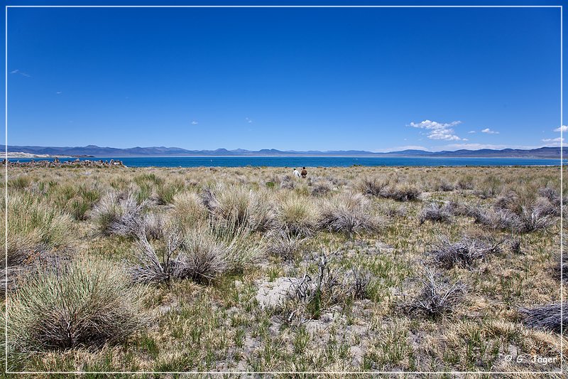 mono_lake_05.jpg