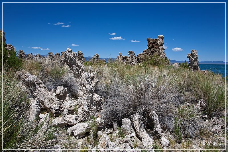 mono_lake_42.jpg