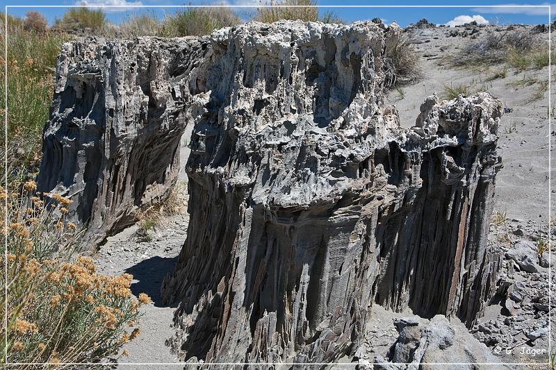 mono_lake_45.jpg