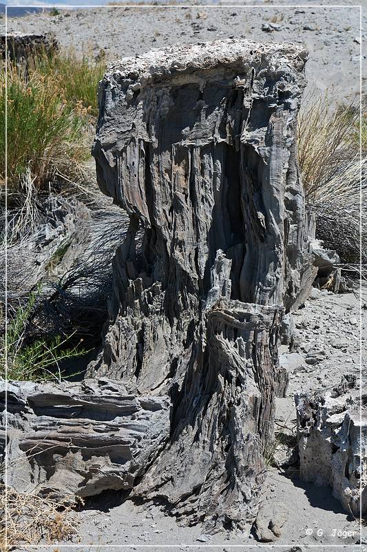 mono_lake_57.jpg