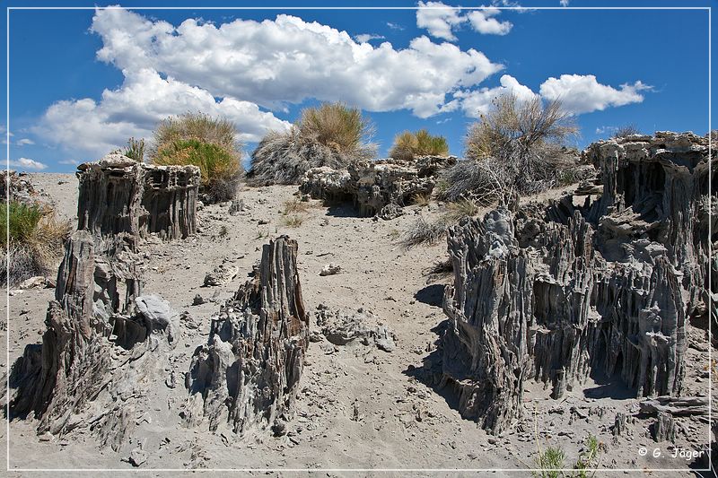 mono_lake_58.jpg