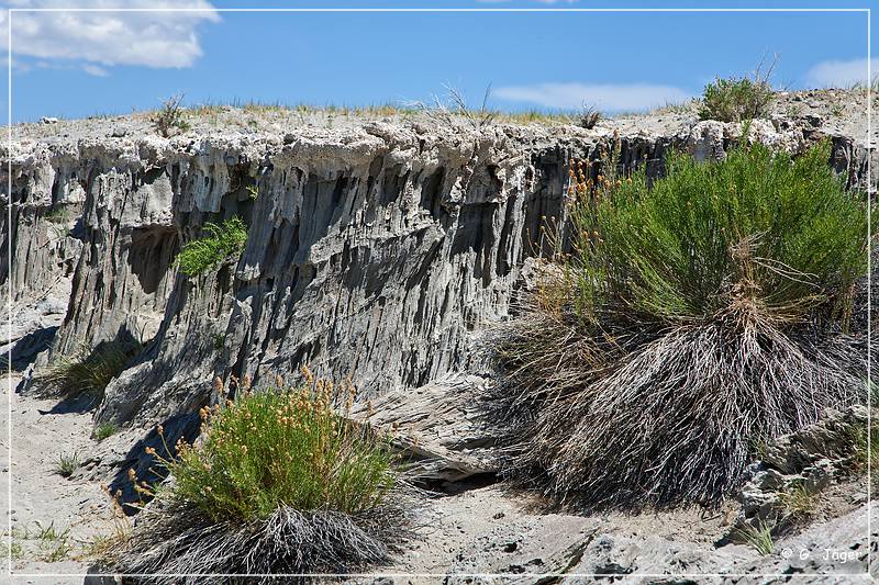 mono_lake_66.jpg