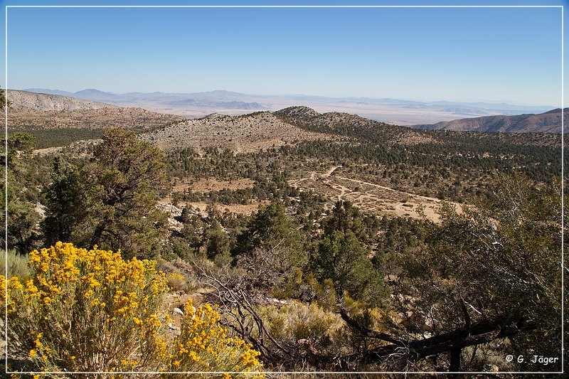 san_bernardino_mountain_15.jpg