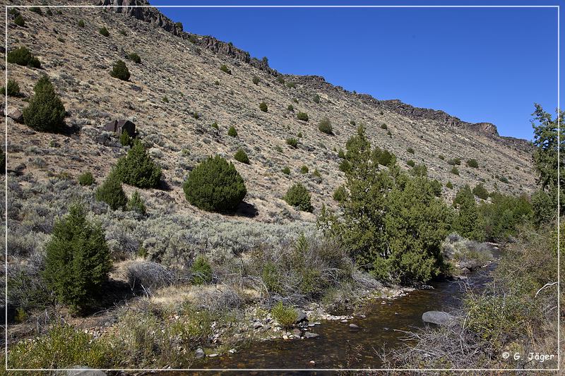 jarbidge_canyon_pinnacles_67.jpg